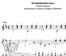 W kadzidlańskim boru