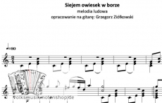 Siejem owiesek w borze