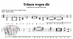 Tränen wegen dir - v. David Lampret - Griffschrift zum Download