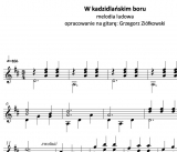 W kadzidlańskim boru